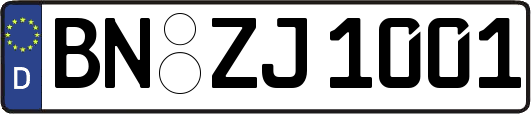 BN-ZJ1001