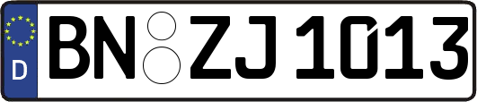 BN-ZJ1013
