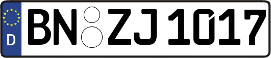 BN-ZJ1017