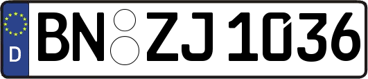 BN-ZJ1036