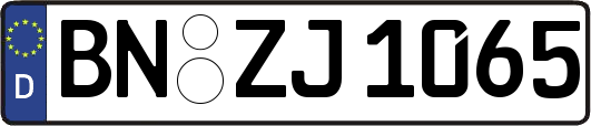 BN-ZJ1065