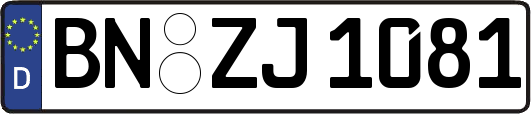 BN-ZJ1081