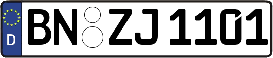 BN-ZJ1101