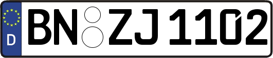 BN-ZJ1102
