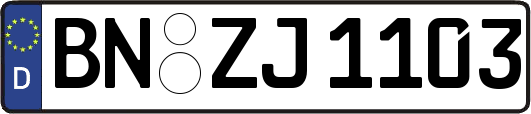 BN-ZJ1103
