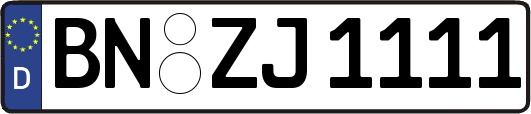 BN-ZJ1111