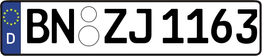 BN-ZJ1163