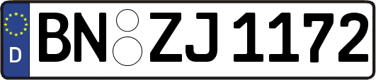 BN-ZJ1172