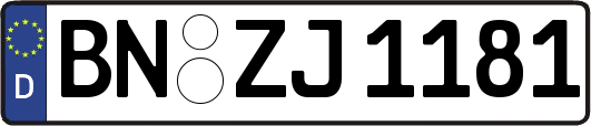 BN-ZJ1181