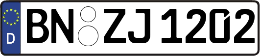 BN-ZJ1202
