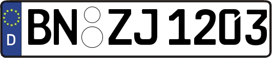 BN-ZJ1203