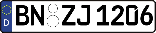 BN-ZJ1206