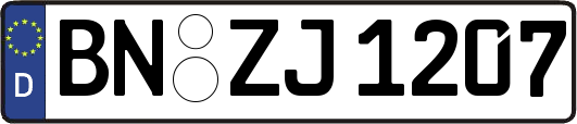 BN-ZJ1207