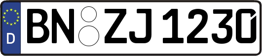 BN-ZJ1230