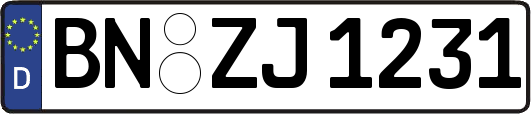 BN-ZJ1231