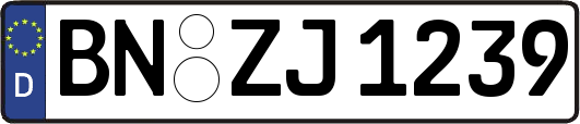 BN-ZJ1239