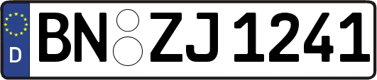 BN-ZJ1241