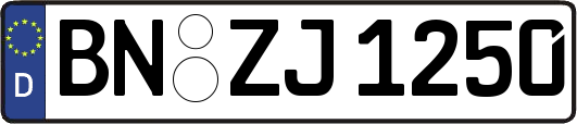 BN-ZJ1250