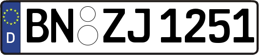 BN-ZJ1251