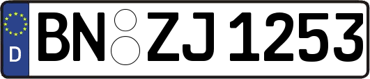 BN-ZJ1253