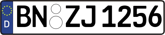BN-ZJ1256