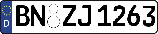 BN-ZJ1263