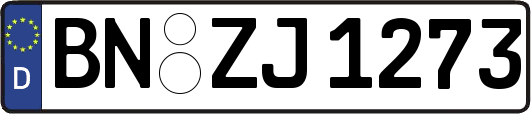 BN-ZJ1273