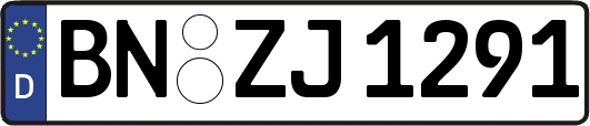 BN-ZJ1291