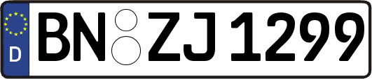 BN-ZJ1299