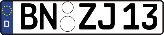 BN-ZJ13