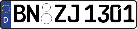 BN-ZJ1301