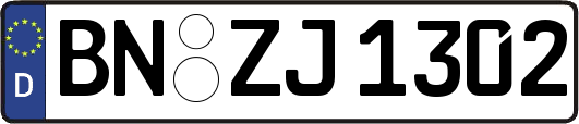 BN-ZJ1302