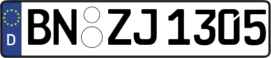 BN-ZJ1305