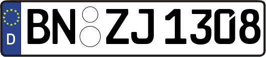 BN-ZJ1308