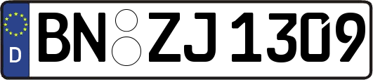 BN-ZJ1309