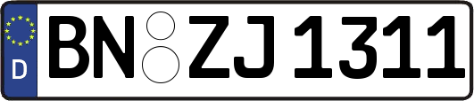 BN-ZJ1311
