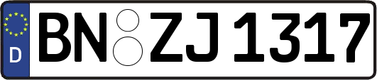 BN-ZJ1317