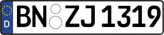 BN-ZJ1319