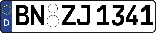 BN-ZJ1341
