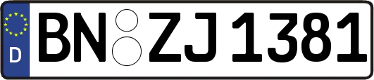 BN-ZJ1381