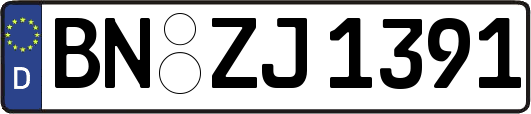 BN-ZJ1391