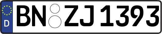 BN-ZJ1393