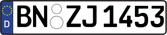 BN-ZJ1453