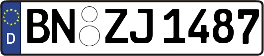 BN-ZJ1487