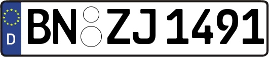 BN-ZJ1491