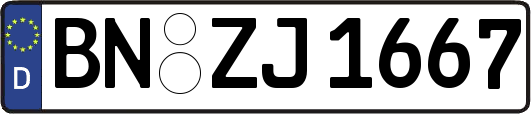 BN-ZJ1667