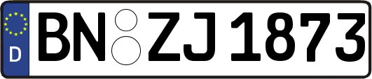 BN-ZJ1873