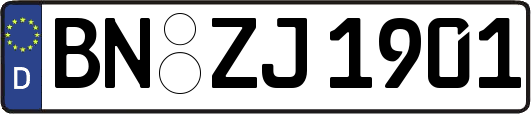 BN-ZJ1901