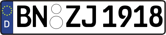 BN-ZJ1918