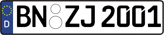 BN-ZJ2001